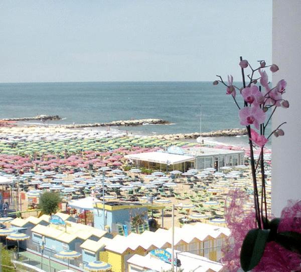 Hotel Alba Misano Adriatico Esterno foto